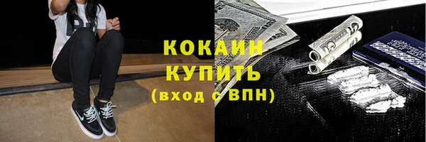 шишки Магас
