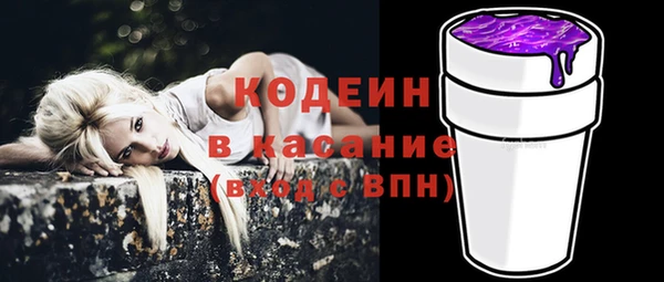 шишки Магас