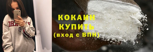 шишки Магас