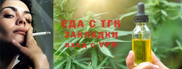 шишки Магас
