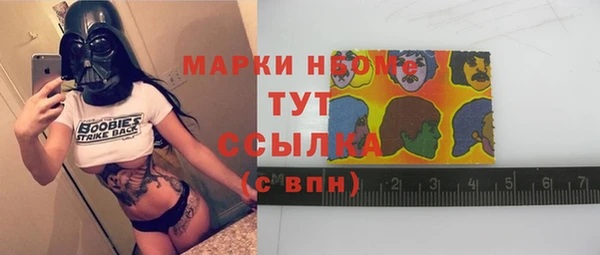 шишки Магас