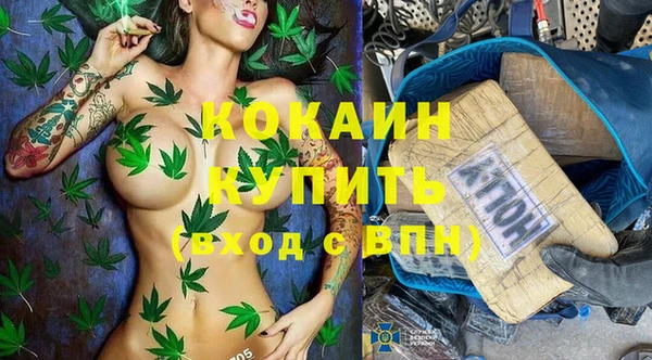 шишки Магас