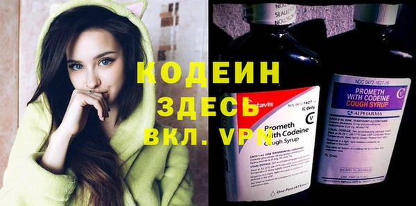 шишки Магас