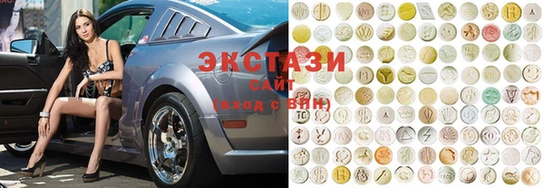 шишки Магас
