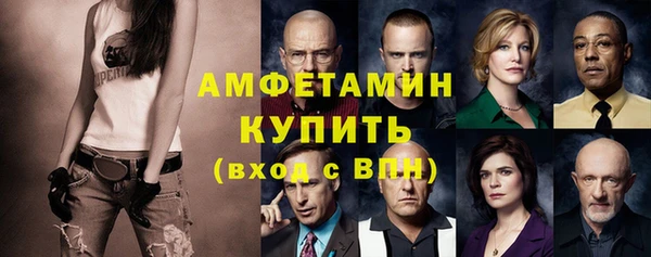 шишки Магас