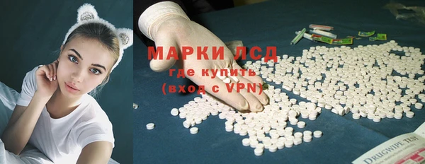 шишки Магас