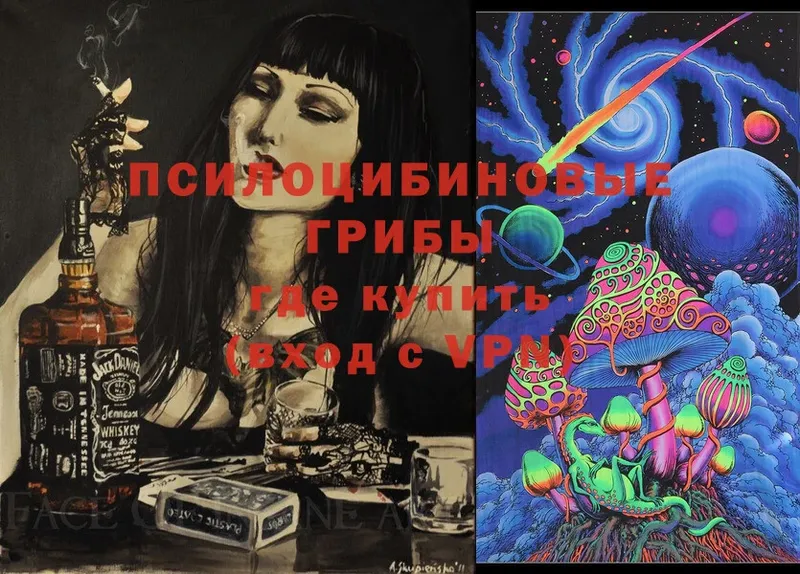 дарнет шоп  Краснообск  Псилоцибиновые грибы Psilocybe 