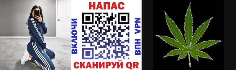купить наркотики сайты  Краснообск  Конопля ГИДРОПОН 